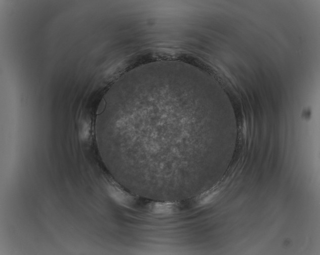 X0000091060134200708201354