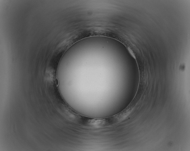 X0000091060135200708201354
