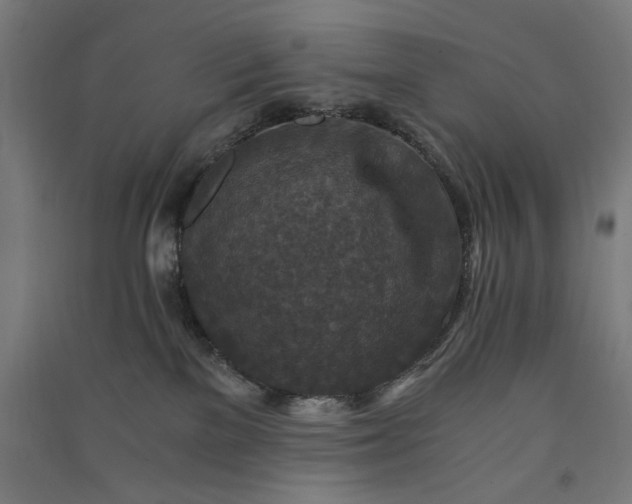 X0000091060137200708201354