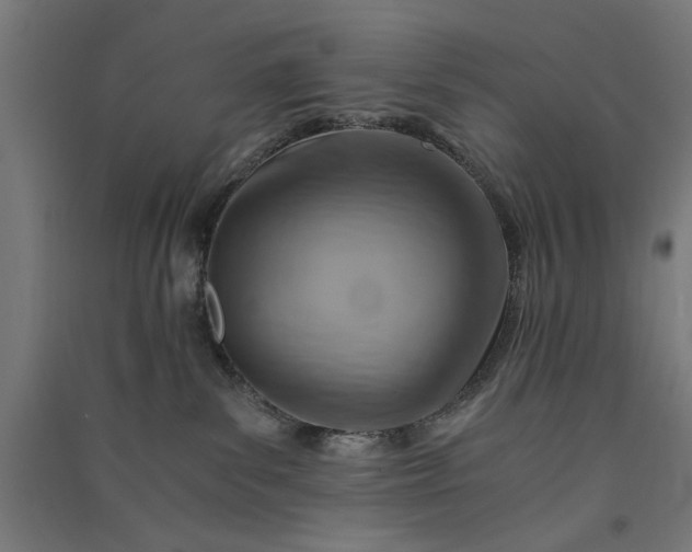 X0000091060139200708201354