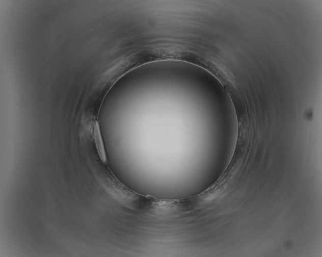 X0000091060141200708201354
