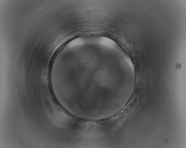 X0000091060146200708201353