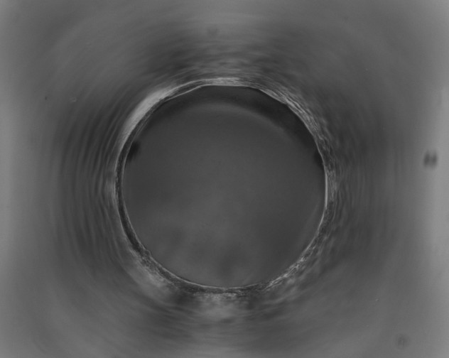 X0000091060147200708201353