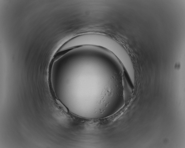 X0000091060148200708201353