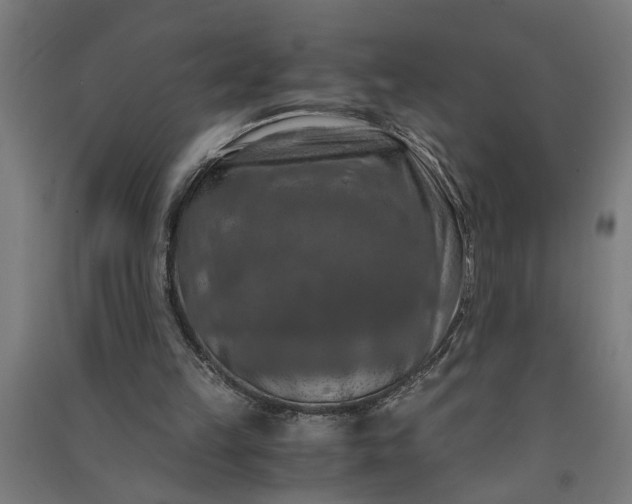 X0000091060149200708201353