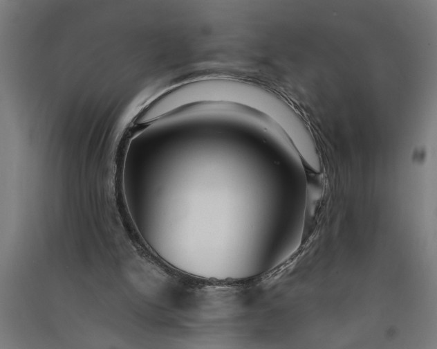 X0000091060150200708201353