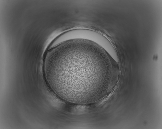 X0000091060152200708201353