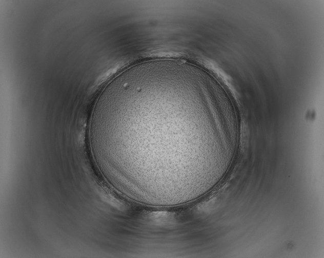 X0000091060153200708201353