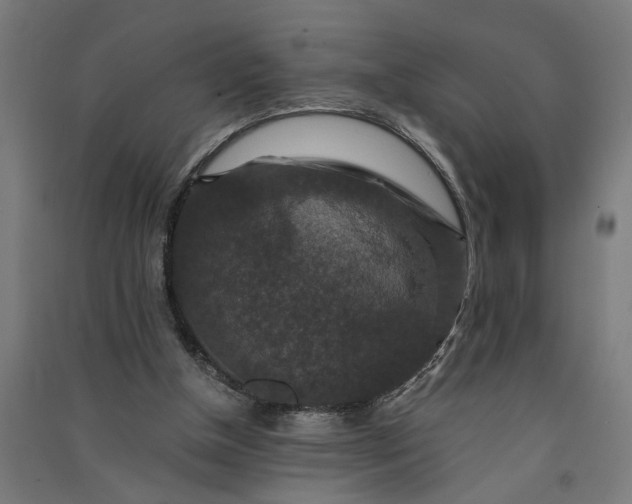 X0000091060154200708201353