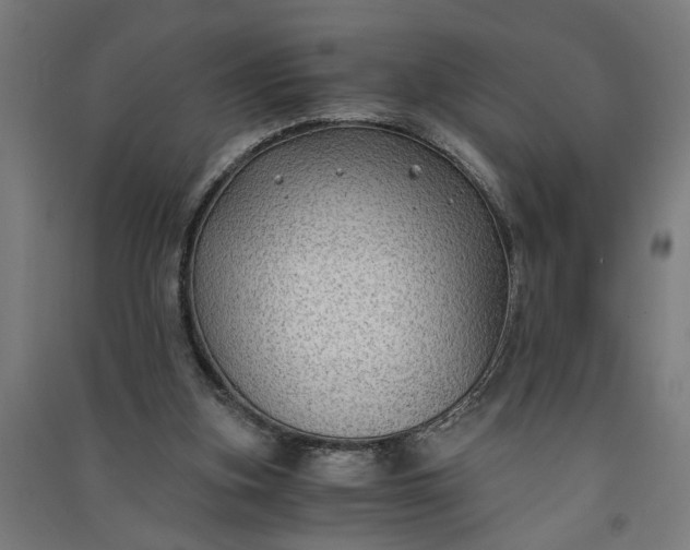X0000091060155200708201353