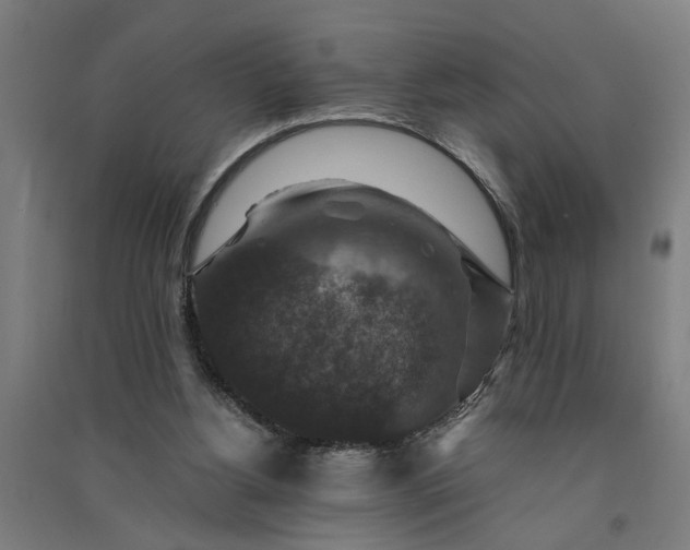 X0000091060156200708201353