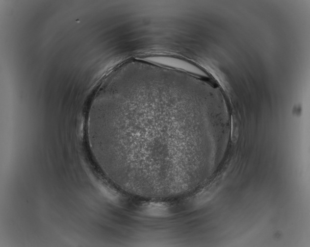 X0000091060157200708201353