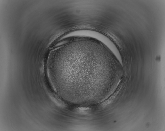 X0000091060158200708201353