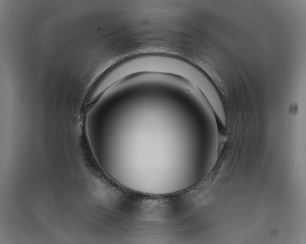 X0000091060160200708201353
