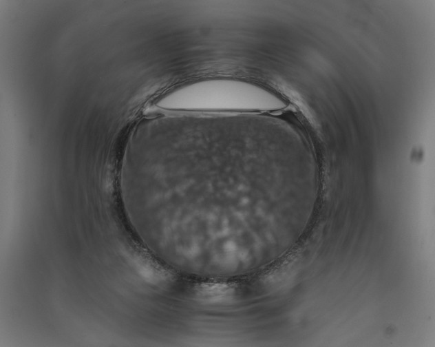 X0000091060161200708201353