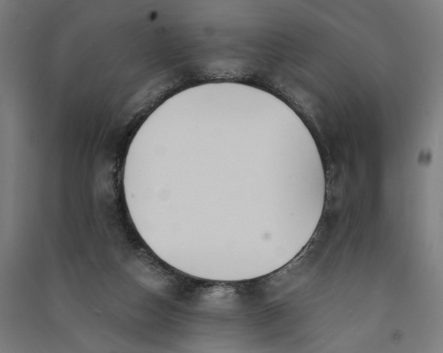 X0000091060162200708201353