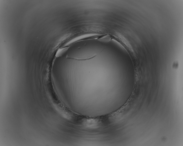X0000091060163200708201353