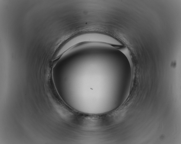 X0000091060164200708201353
