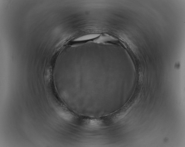 X0000091060165200708201354