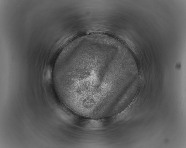 X0000091060166200708201354