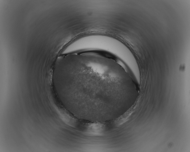 X0000091060168200708201354