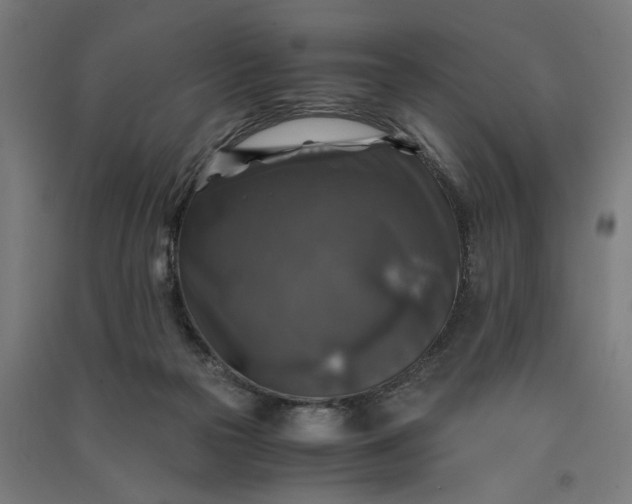 X0000091060169200708201354