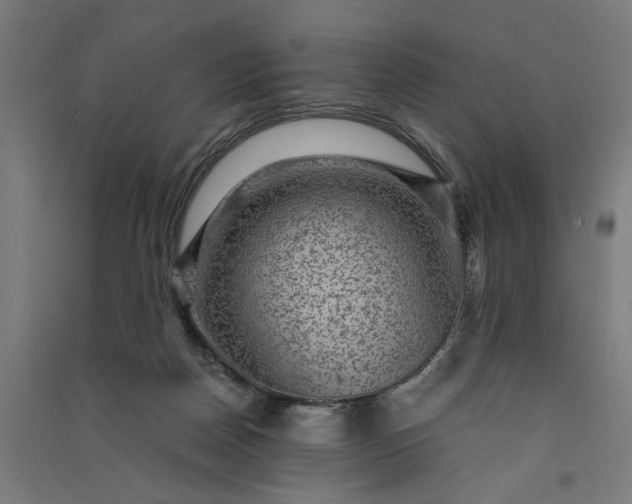 X0000091060170200708201354