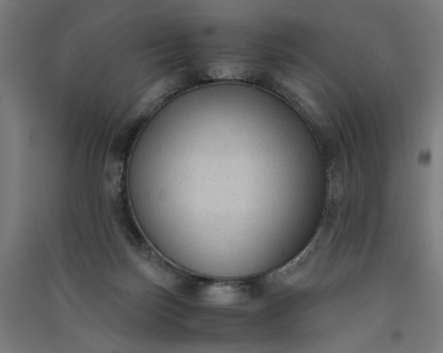 X0000091060171200708201354