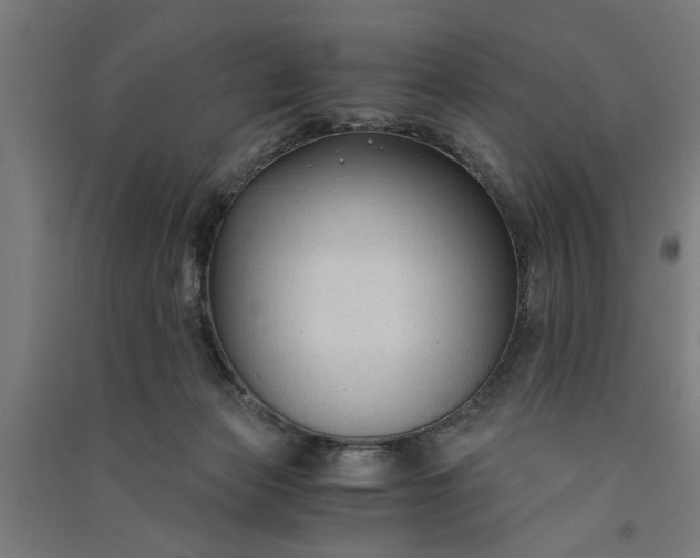 X0000091060173200708201354
