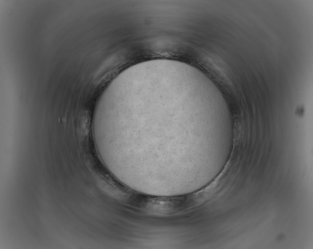 X0000091060174200708201354