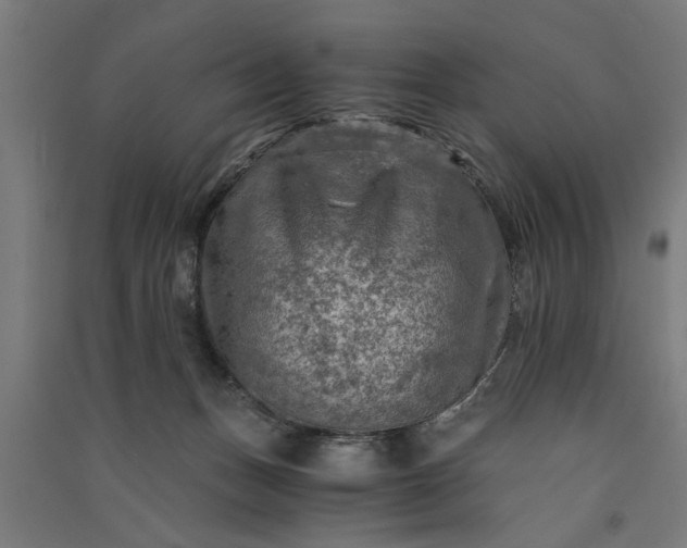 X0000091060175200708201354