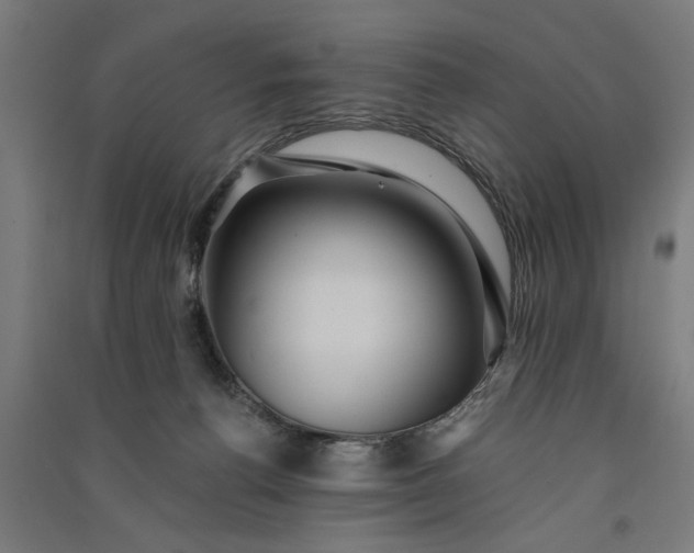 X0000091060176200708201354