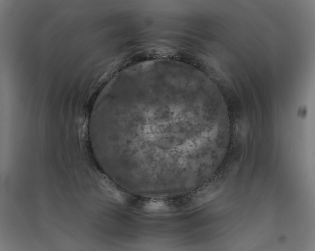 X0000091060177200708201354