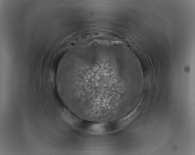 X0000091060178200708201354