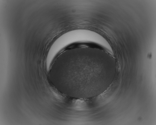 X0000091060180200708201354