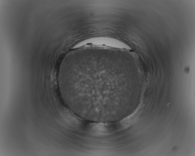 X0000091060182200708201354