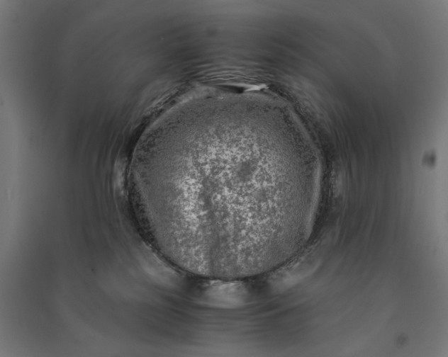 X0000091060185200708201354