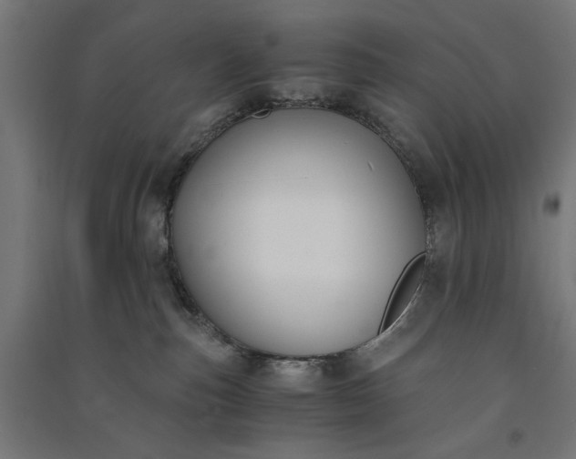 X0000091060187200708201354