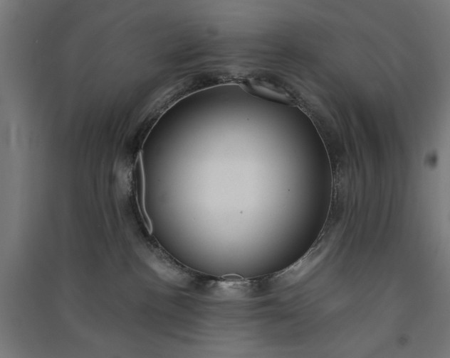 X0000091060188200708201354