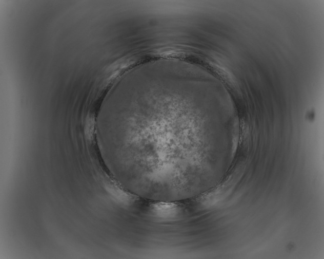 X0000091060189200708201354