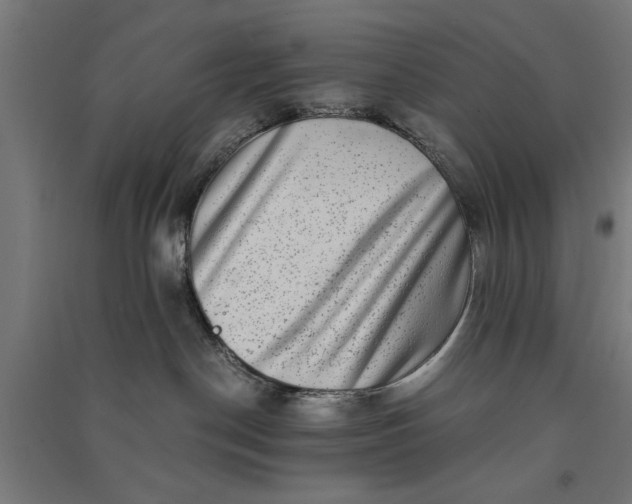 X0000091060190200708201354