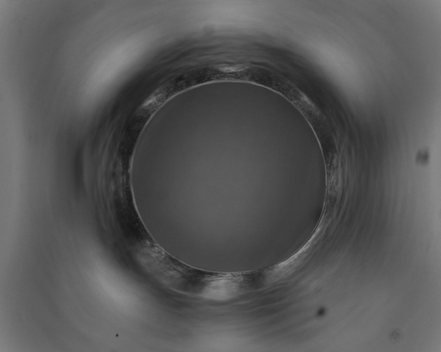 X0000091060191200708201354