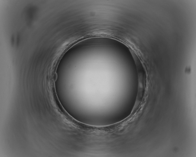 X0000091060193200708201353