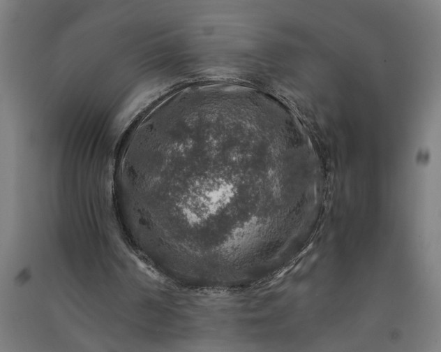 X0000091060194200708201353