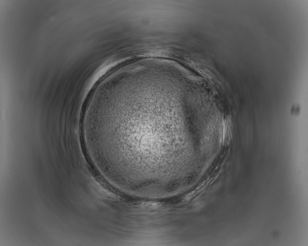 X0000091060195200708201353