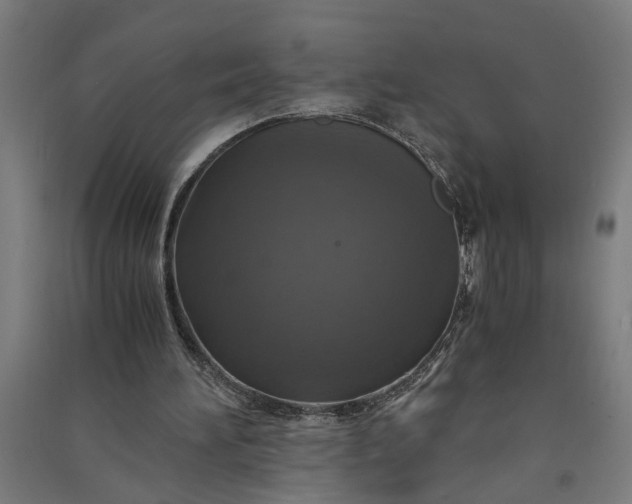 X0000091060196200708201353