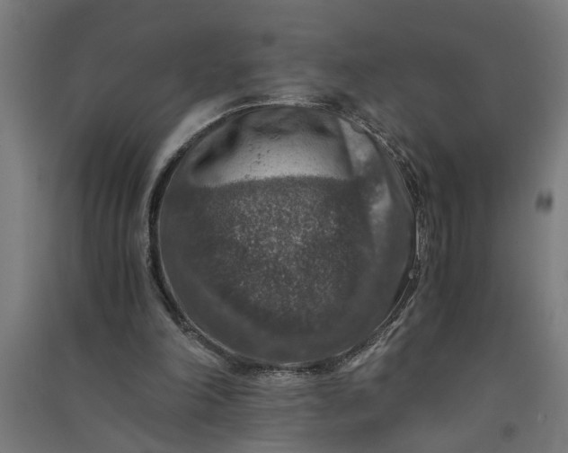X0000091060198200708201353