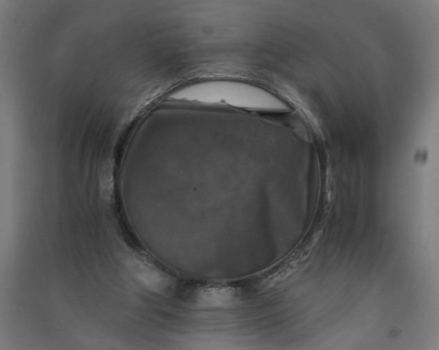 X0000091060202200708201353