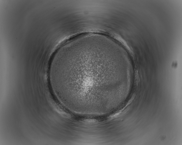 X0000091060203200708201353