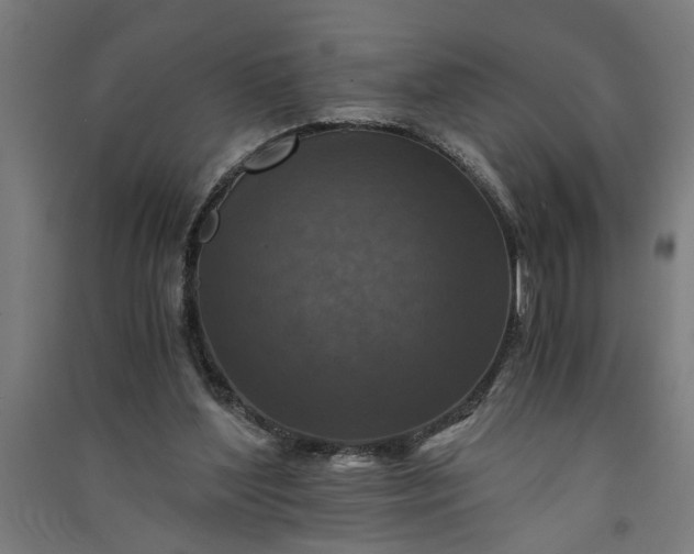 X0000091060204200708201353